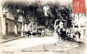 MONTENOTTE - RUE PRINCIPALE